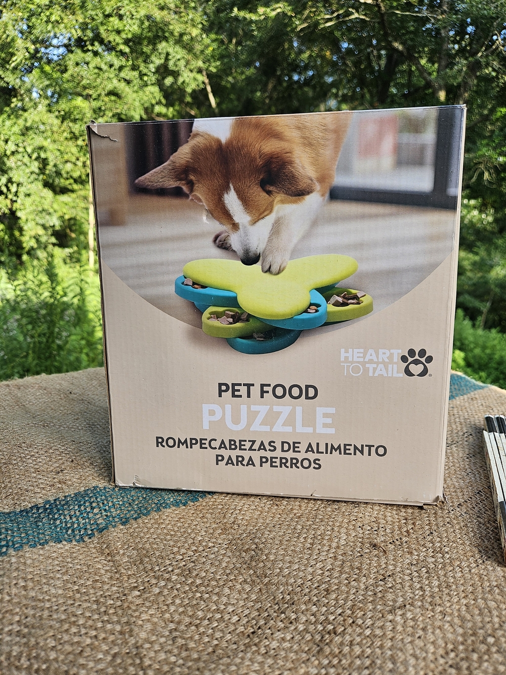 Heart to Tail Pet Food Puzzle - Bright Green & Teal Feeder Dog Treat Puzzle NEW